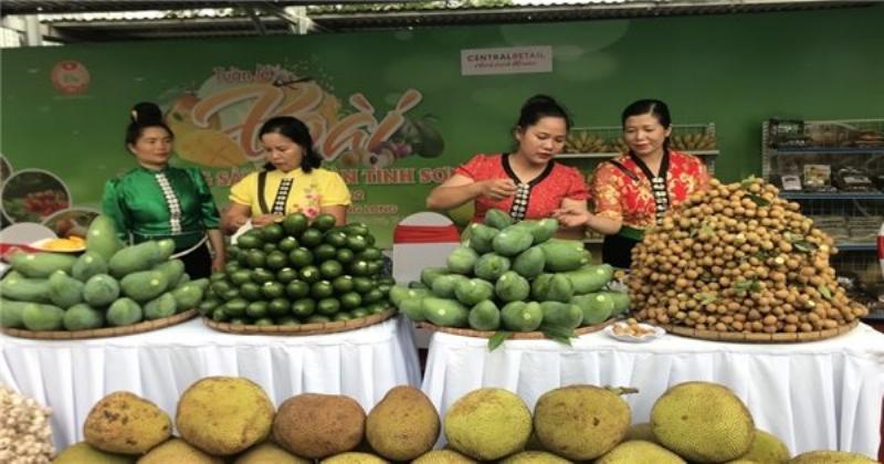 Rau củ quả tươi ngon được trồng tại Mộc Châu, thể hiện sự phong phú của nông sản địa phương
